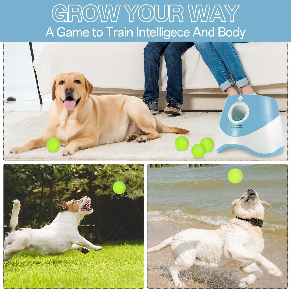 Ball Thrower for Dogs Interactive dog fetch machine Automatic Tennis Ball Launcher with 12 Tennis Balls Dog Ball Thrower Machine with 10-30Ft 3 Launching Distance for Small Dogs Indoor & Outdoor